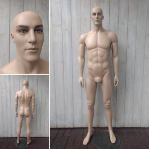 ME13 male mannequin Nu Body mannequins