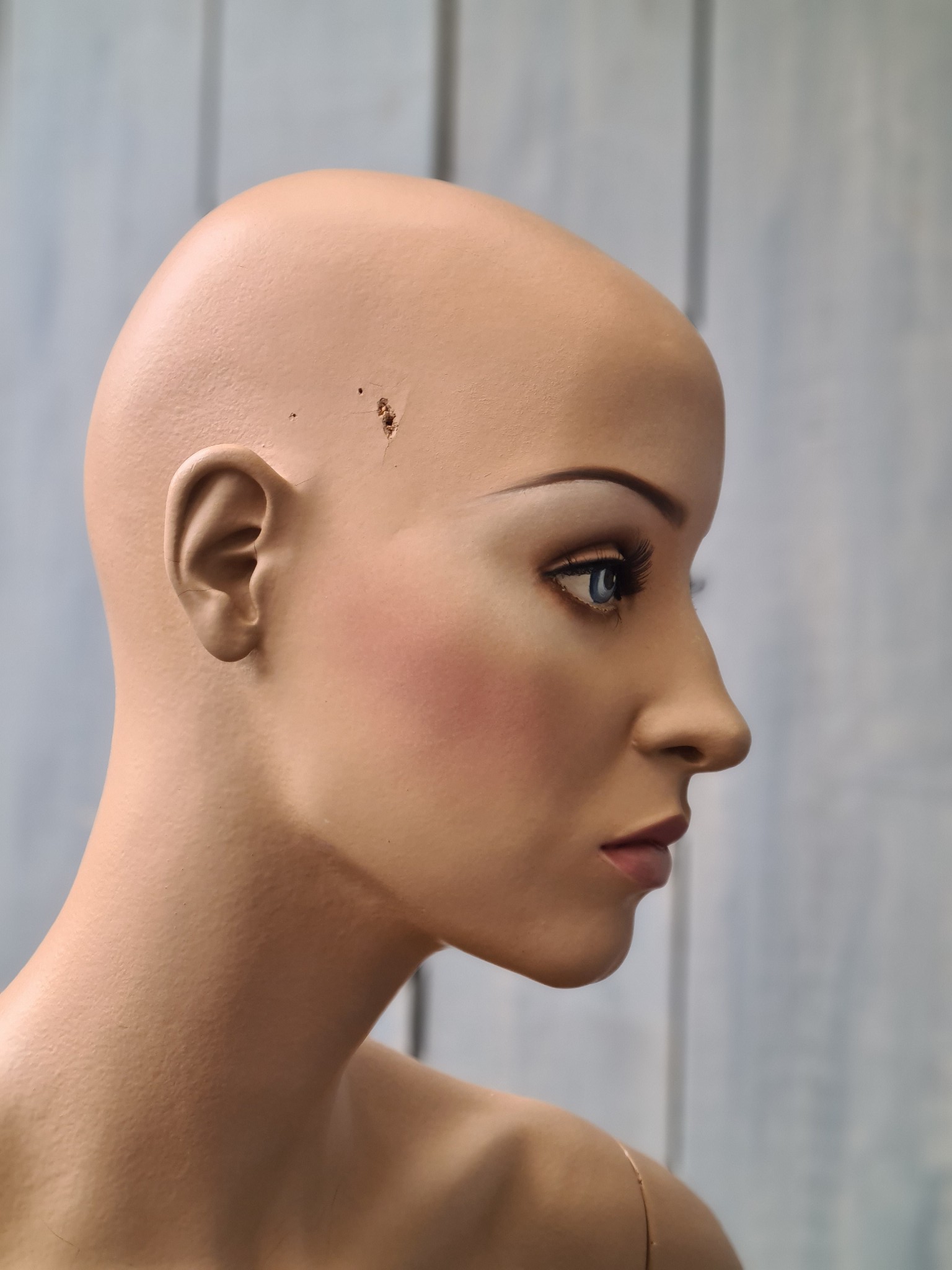 RD74 Adel Rootstein mannequin Alexis Boy Girl collection BG9 | brand ...